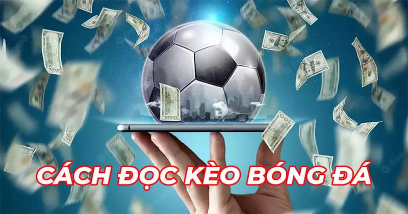 cách đọc kèo bóng đá Các loại kèo bóng đá phổ biến cần biết