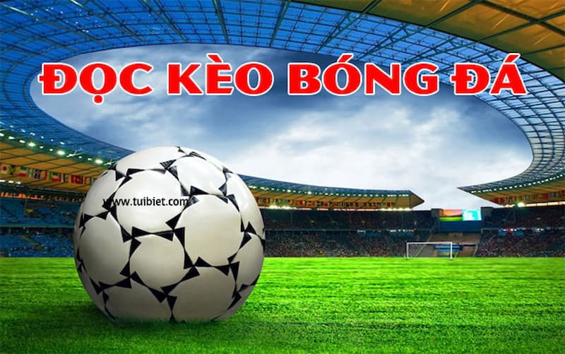 cách đọc kèo bóng đá Cách đọc kèo bóng đá chi tiết từng bước