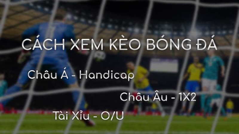 cách đọc kèo bóng đá Những lưu ý quan trọng trong cách đọc kèo bóng đá
