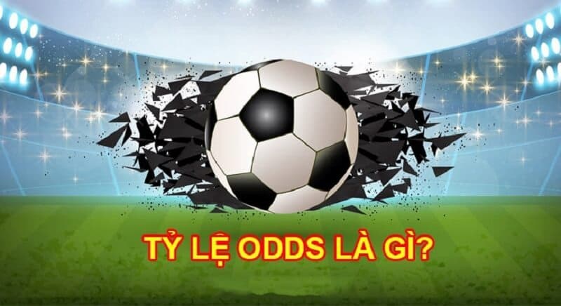 odds trong bóng đá là gì