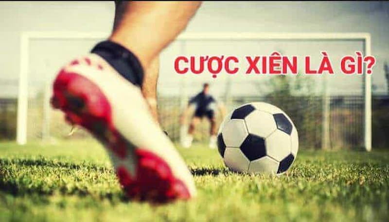 Cược xiên là gì Tại sao nên hiểu rõ về cược xiên là gì?